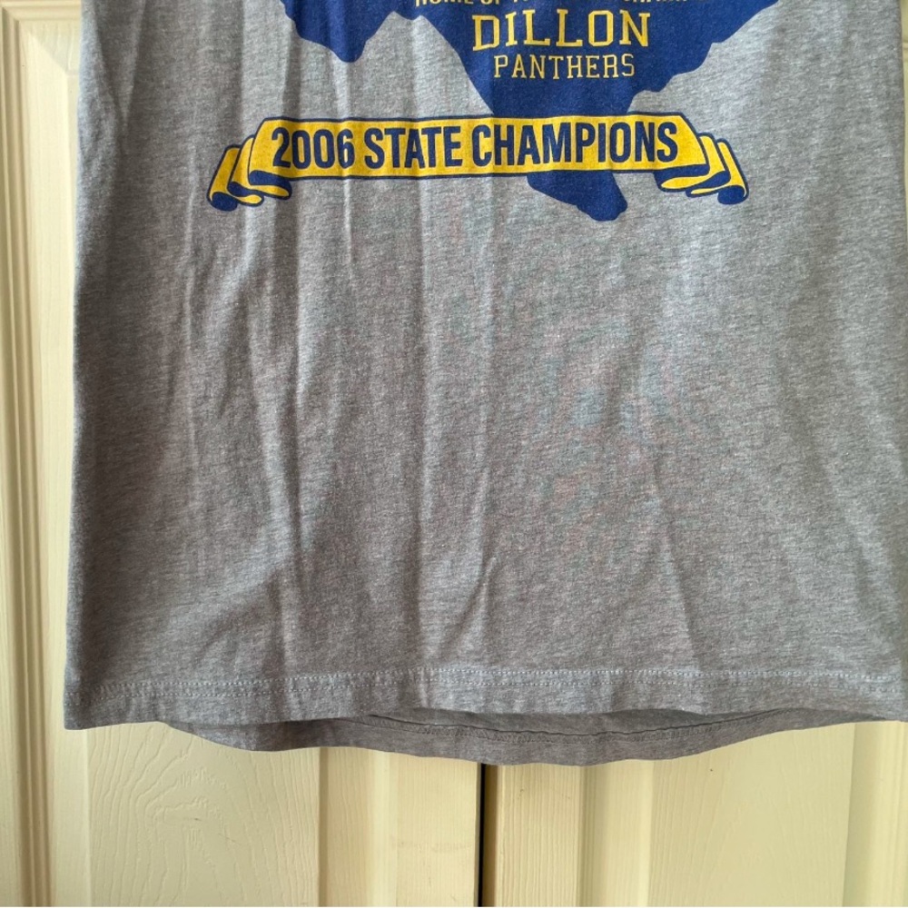 Gray Dillon Panthers Graphic T-Shirt - Picture 4 of 6